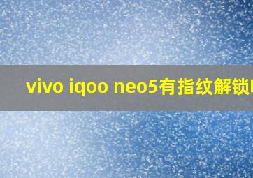 vivo iqoo neo5有指纹解锁吗